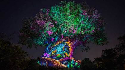 Oração da Árvore da Vida Amor e Prosperidade